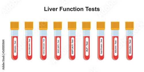 Liver Function Tests Concept Design. Vector Illustration.