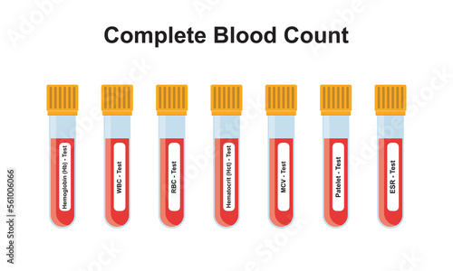 Complete Blood Count Concept Design. Vector Illustration.