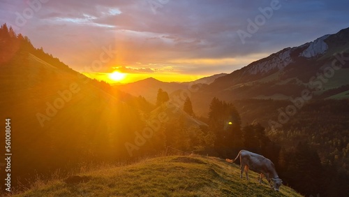 sunrise in the mountains photo