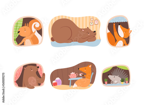 Cute animals living in their cozy burrows set. Squirrel, bear, fox, hedgehog doing casual things underground cartoon vector illustration