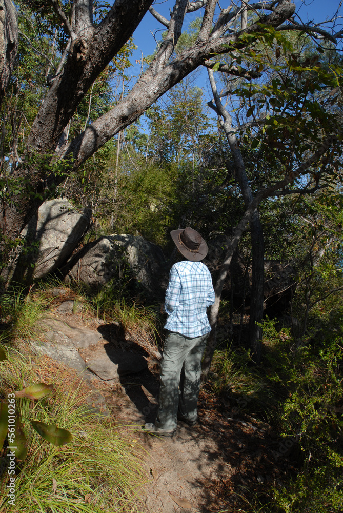 Person on walking track to Hawkings Point, Magnetic Island, Queensland, Australia Person on walking track to Hawkings Point, Magnetic Island, Queensland, Australia