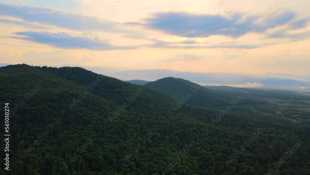 Aerial view of green pine forest with dark spruce trees covering mountain hills at sunset. Nothern woodland scenery from above Aerial view of green pine forest with dark spruce trees covering mountain hills at sunset. Nothern woodland scenery from above