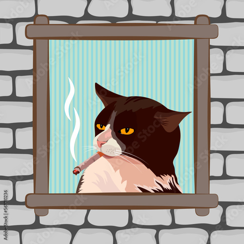 Cat smokes