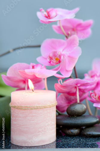 Spa background with pink orchid   candle and zen black stones on gray.