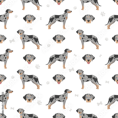 Catahoula Leopard dog seamless pattern