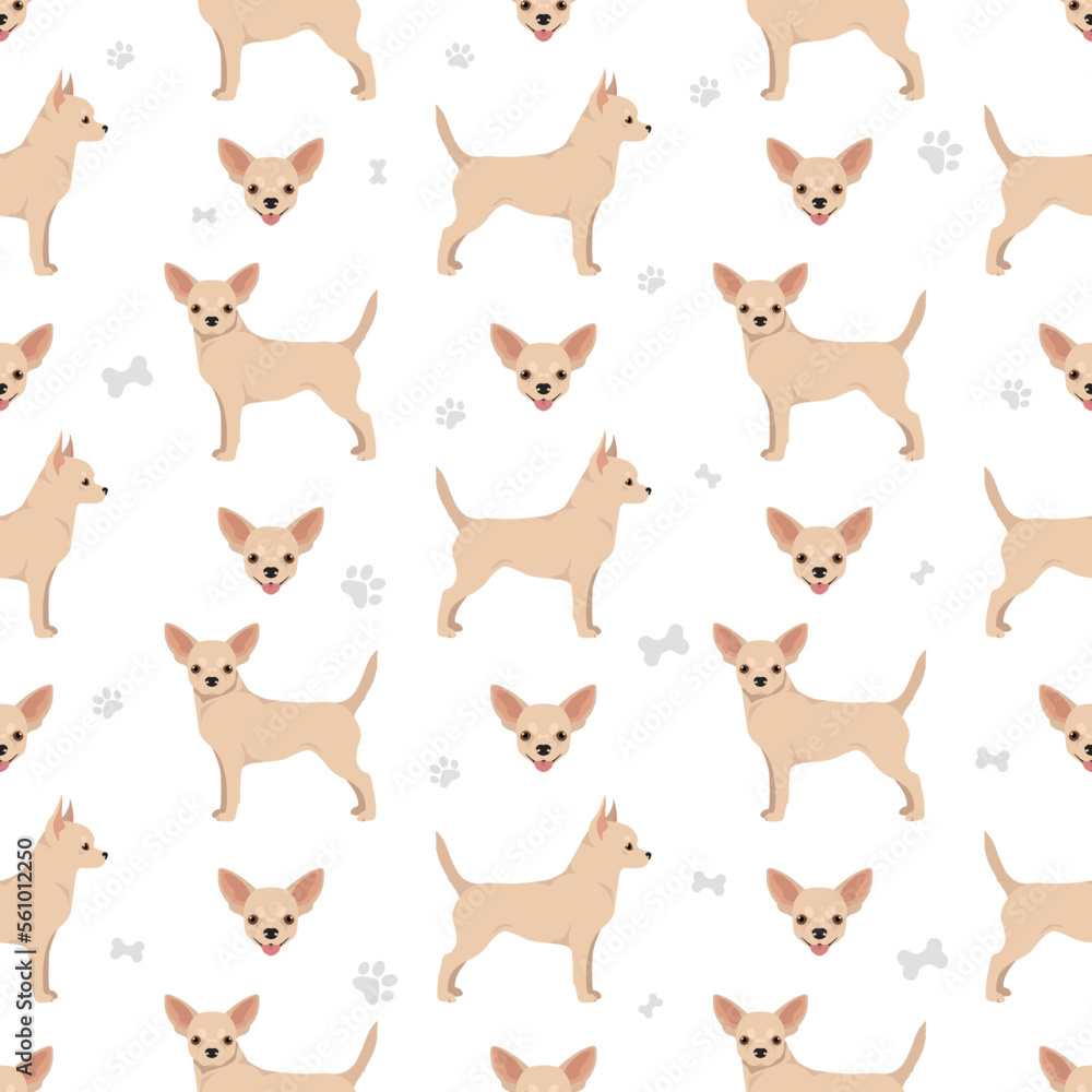 Chihuahua short haired seamless pattern
