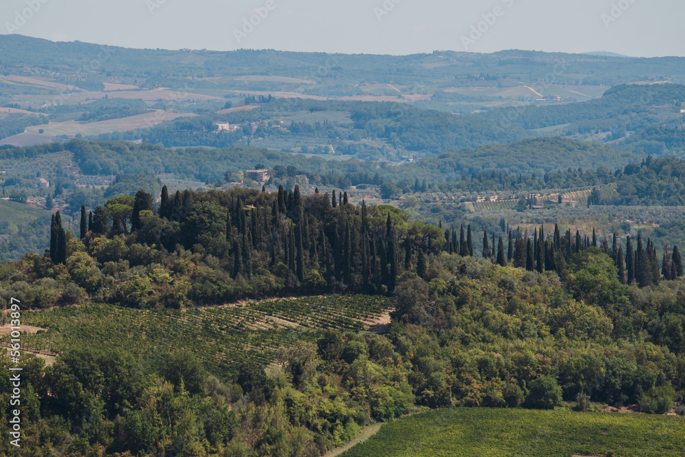 Amazing Tuscany view of green landscapes in San Gimignano