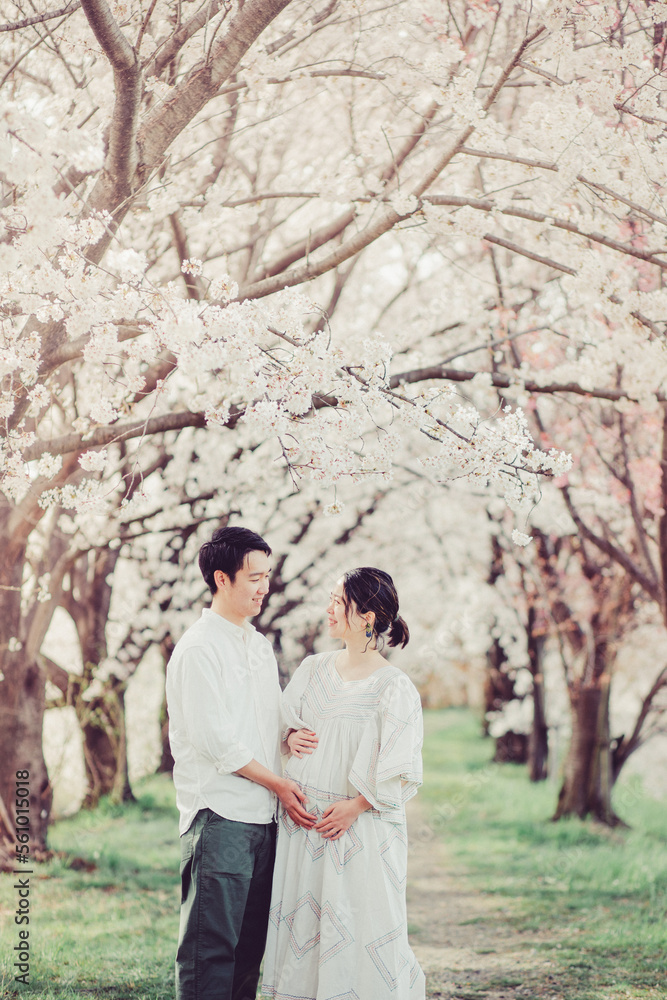 桜と赤ちゃんを待つ夫婦