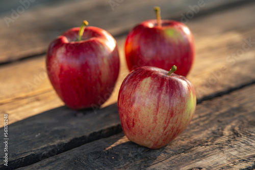 Ripe red apples on wooden background .