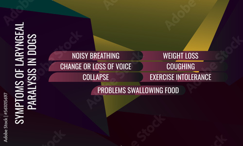 symptoms of Laryngeal Paralysis in dogs .  Vector illustration for medical journal or brochure. 