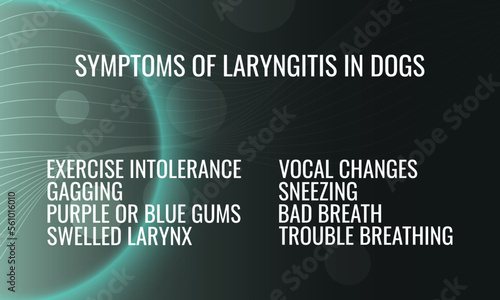 symptoms of Laryngitis in dogs.  Vector illustration for medical journal or brochure. 