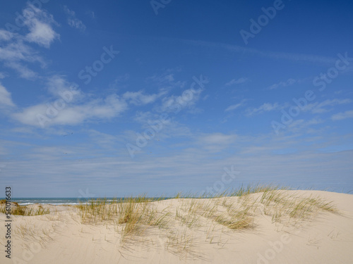 Dunes North Holland