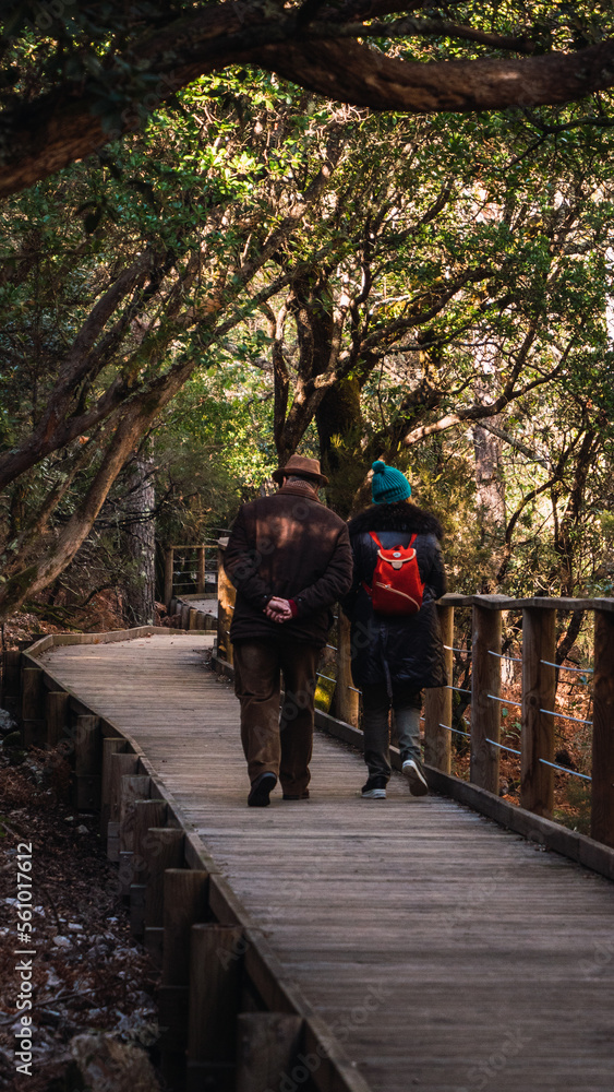 Obraz premium Two elderly people walking in the forest