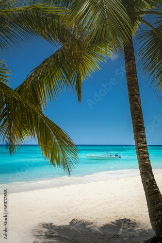 Tropical paradise  sand beach in caribbean Saona Island  Punta Cana  Dominican