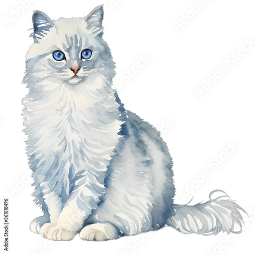 white cat drawn digital painting watercolor illustration