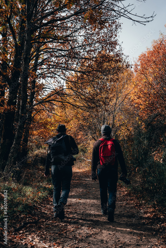 Two people on a path in the forest in autumn colors