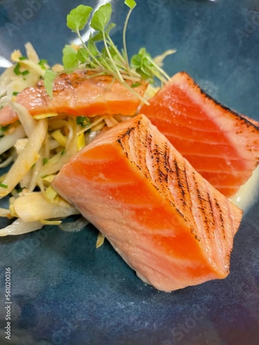 fresh salmon fillet
