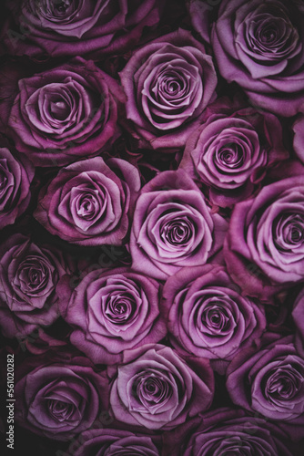 Bunch of purple roses  close up of a boquet  vertical