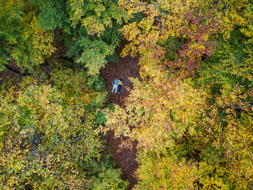 Leinwand Poster Amazing drone shots of the forest during autumn in Romania
