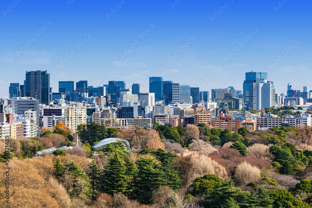 東京 青空と都市風景