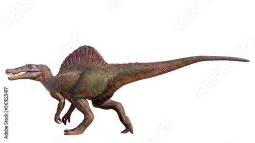 Spinosaurus roaring dinosaur isolated on blank background PNG 