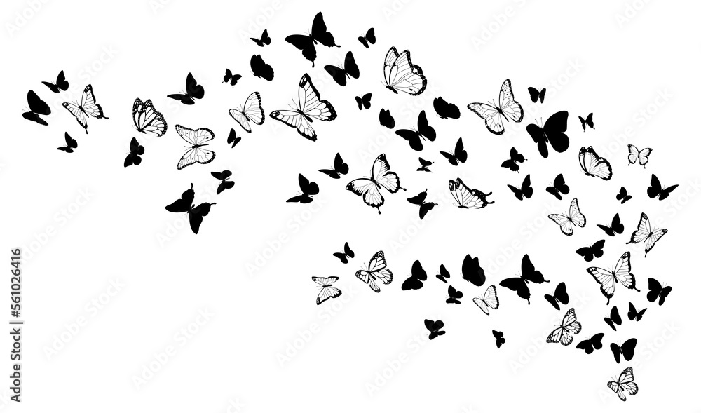 Flying black silhouettes of butterflies. Design element Flying black silhouettes of butterflies. Design element