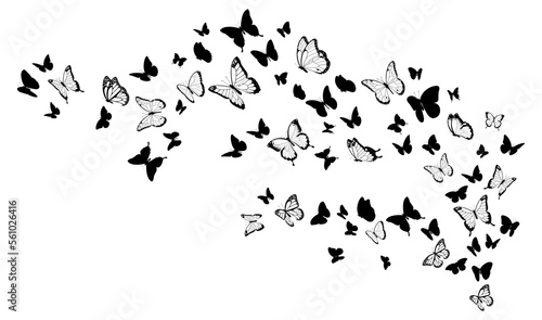 Flying black silhouettes of butterflies. Design element