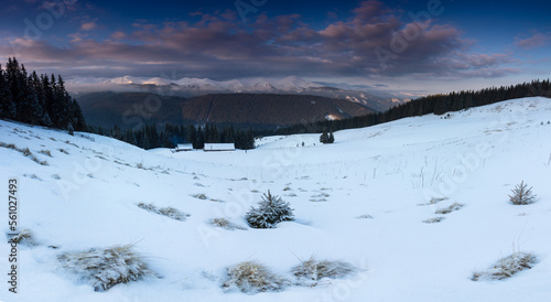 Amazing panoramic landscape  winter mountains at sunrise. View of dramatic overcast sky and distance snow capped peaks. Carpathian mountains range. Europe. © vovik_mar