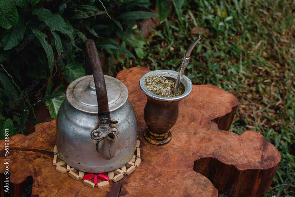 Mate con yerba mate y pava tradicional, bebida tradicional argentina y uruguaya, disfrutando de un buen mate sobre un tronco de árbol en plena naturaleza, respirando aire puro. Mate con yerba mate y pava tradicional, bebida tradicional argentina y uruguaya, disfrutando de un buen mate sobre un tronco de árbol en plena naturaleza, respirando aire puro.