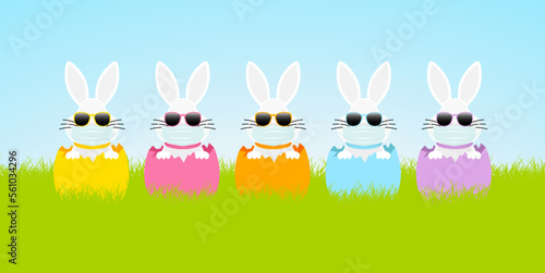 5 Weiße Osterhasen Maske Sonnenbrille Eierschalen Wiese Himmel Banner