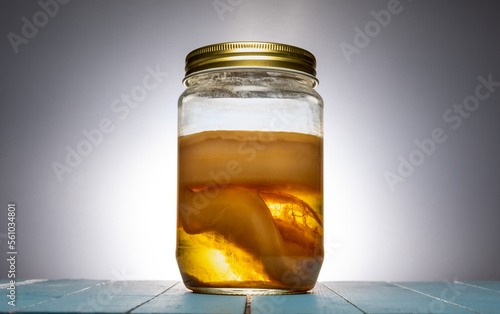 Kombucha scoby in a jar. Scoby is an abbreviation for “Symbiotic Colony of Bacteria and Yeast” (also called as kombucha mother). Kombucha tea is a source of probiotics and contains antioxidants.