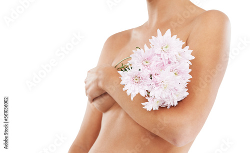 Flowers, body and beauty with a woman in studio covering her breasts on a white background for cancer awareness. Wellness, nude and luxury with a female posing to promote natural breast health
