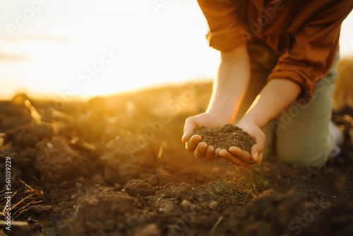 Obraz na płótnie Female hands checking soil health before growth a seed of vegetable or plant seedling