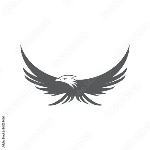 Falcon logo template vector