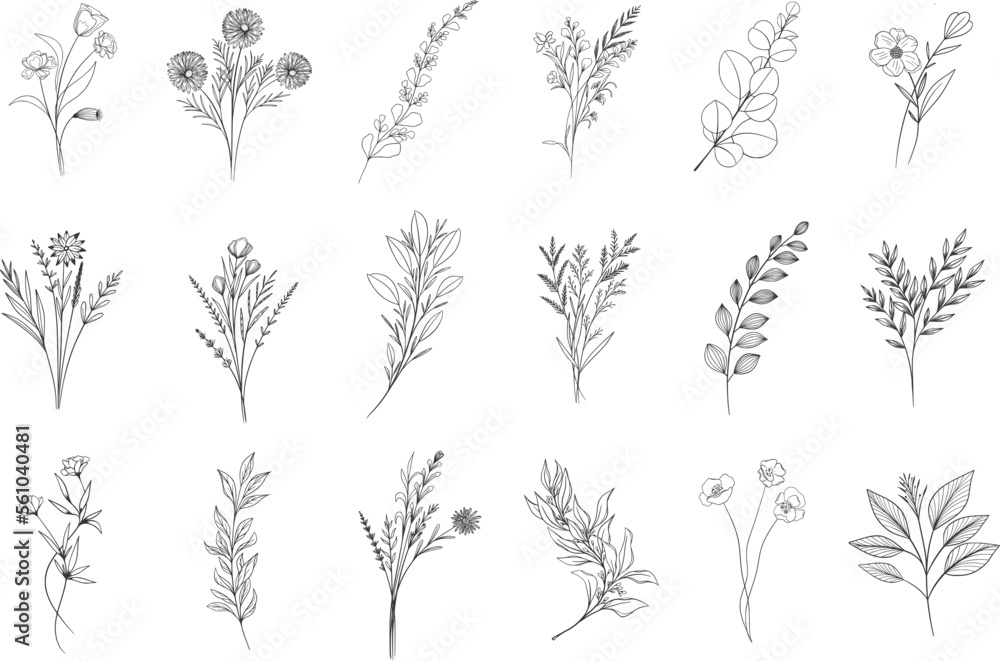 Hand drawn floral herbs set elements Hand drawn floral herbs set elements