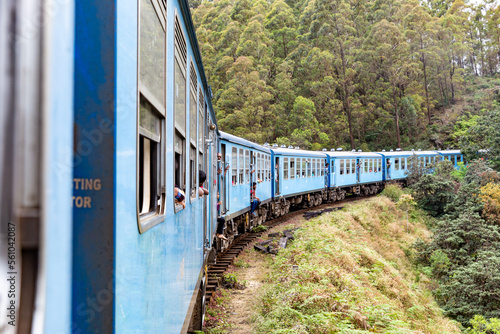 Sri Lanka's most beautiful train journey. A bucket list adventure for many visitors. Blue locomotives of Ceylon railways going in the jungle.