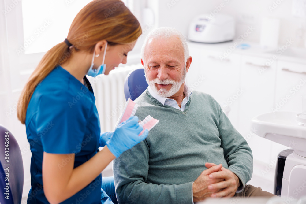 Dentist explaining procedure on plastic jaw model to patient Dentist explaining procedure on plastic jaw model to patient