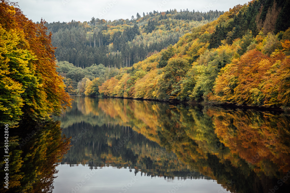 Colourful trees reflecting in calm water surface. Bright and vibrant landscape scene.Autumn nature background. Rheinland-Pfalz, Germany Colourful trees reflecting in calm water surface. Bright and vibrant landscape scene.Autumn nature background. Rheinland-Pfalz, Germany
