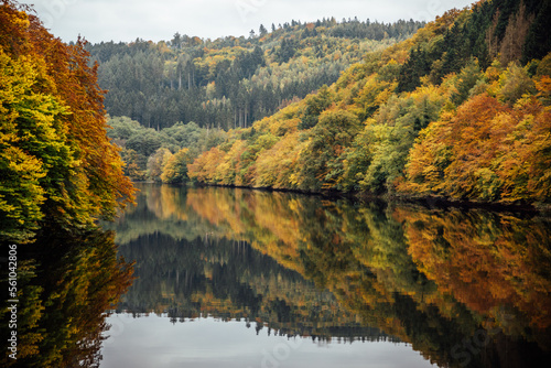 Fototapeta Naklejka Na Ścianę i Meble -  Colourful trees reflecting in calm water surface. Bright and vibrant landscape scene.Autumn nature background. Rheinland-Pfalz, Germany