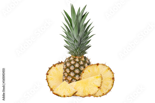 Whole juicy fresh pineapple. Pieces of pineapple circles, rings, halves, quarters. Isolated.