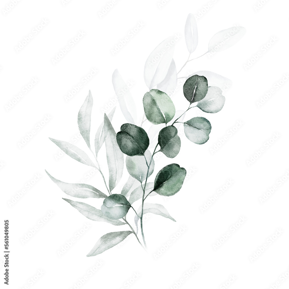 Watercolor floral illustration bouquet - green leaf branches collection, for wedding stationary, greetings, wallpapers, fashion, background. Eucalyptus, olive, green leaves, etc.