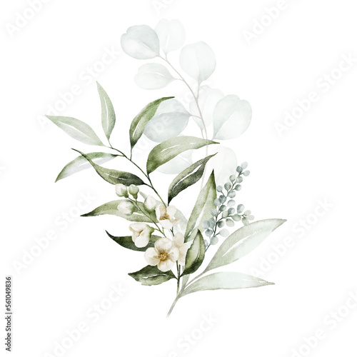 Watercolor floral illustration bouquet - white flowers, green leaf branches collection, for wedding stationary, greetings, wallpapers, fashion, background. Eucalyptus, olive, green leaves, etc.