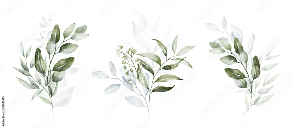 Watercolor floral illustration set - green leaf branches collection, for wedding stationary, greetings, wallpapers, fashion, background. Eucalyptus, olive, leaves, chamomile.