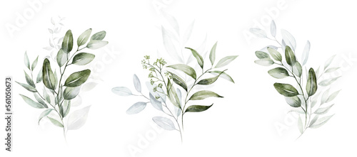 Watercolor floral illustration set - green leaf branches collection, for wedding stationary, greetings, wallpapers, fashion, background. Eucalyptus, olive, leaves, chamomile. © Veris Studio