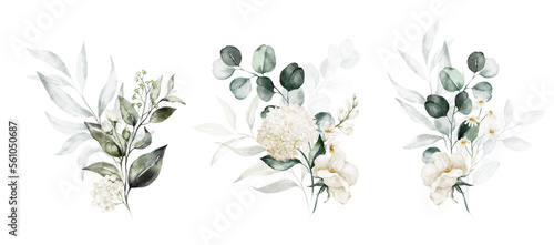 Watercolor floral illustration set - white flowers, green leaf branches collection, for wedding stationary, greetings, wallpapers, fashion, background. Eucalyptus, olive, leaves, chamomile.