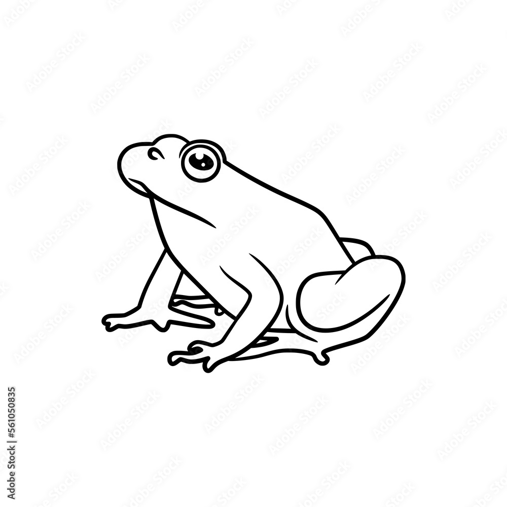 Frog line art drawing illustration Frog line art drawing illustration