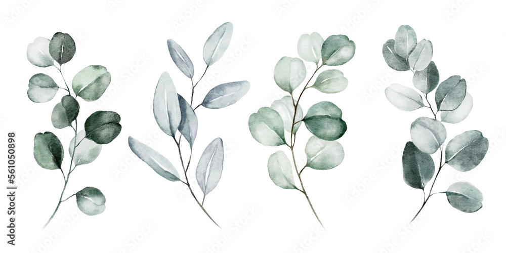 Watercolour floral illustration set. Green leaves, green branches collection, eucalyptus, olive. For wedding invitations, anniversary, birthday, prints, posters.