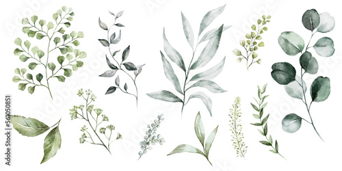 Fototapete Watercolour floral illustration set