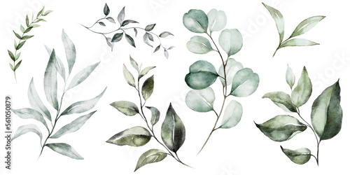 Watercolour floral illustration set. Green leaves, green branches collection, eucalyptus, olive. For wedding invitations, anniversary, birthday, prints, posters.