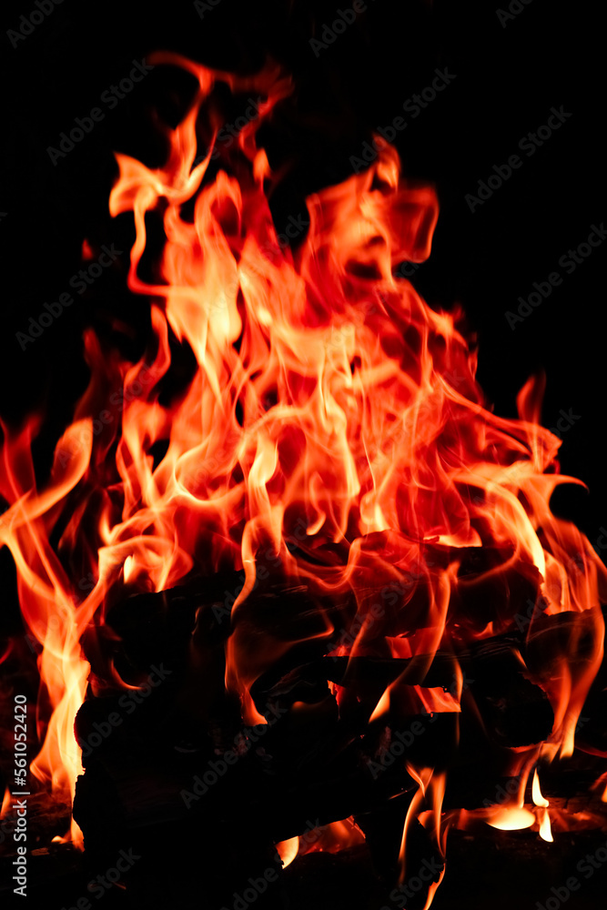 a Fire with coals and fire on nature picnic background. Burns out a bonfire for food on the street a Fire with coals and fire on nature picnic background. Burns out a bonfire for food on the street
